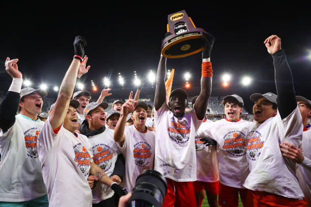 闻到如今在 闻到如今在